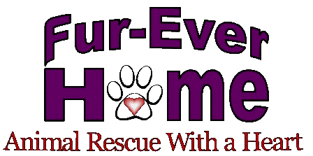 Fur-Ever Home animal rescue